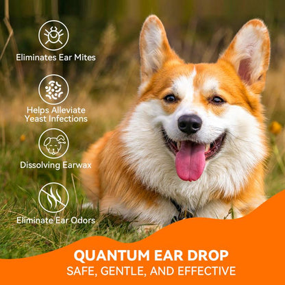 Puainta Ear Cleaner 30Ml Dog Ear Infection Treatment, Quantum Silver Ear Drops for Dogs Ear Infection Ear Mites Treatment for Cats Dogs Itchy Ear