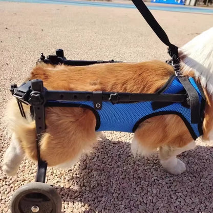 Pet Trolley Adjustable Hind Leg Disabled Pet Dog Mobility Aid Light Rehabilitation Legs Pet Wheelchair Walk Trolley Tools