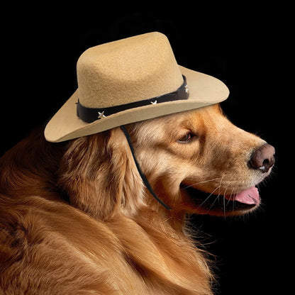 Fashion Dog Cowboy Hat Dogs Cat Outdoor Hats Caps for Small Medium Dogs Cats Headwear Pet Accessories Pitbull