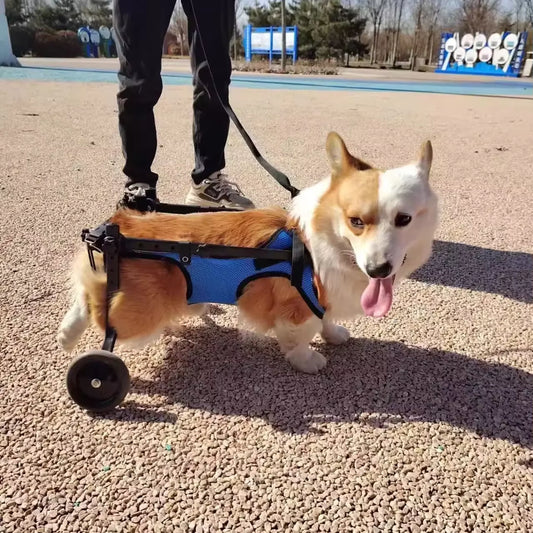 Pet Trolley Adjustable Hind Leg Disabled Pet Dog Mobility Aid Light Rehabilitation Legs Pet Wheelchair Walk Trolley Tools