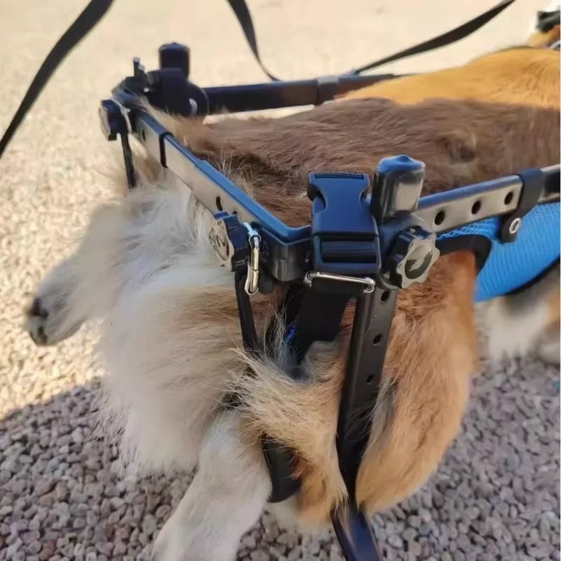 Pet Trolley Adjustable Hind Leg Disabled Pet Dog Mobility Aid Light Rehabilitation Legs Pet Wheelchair Walk Trolley Tools