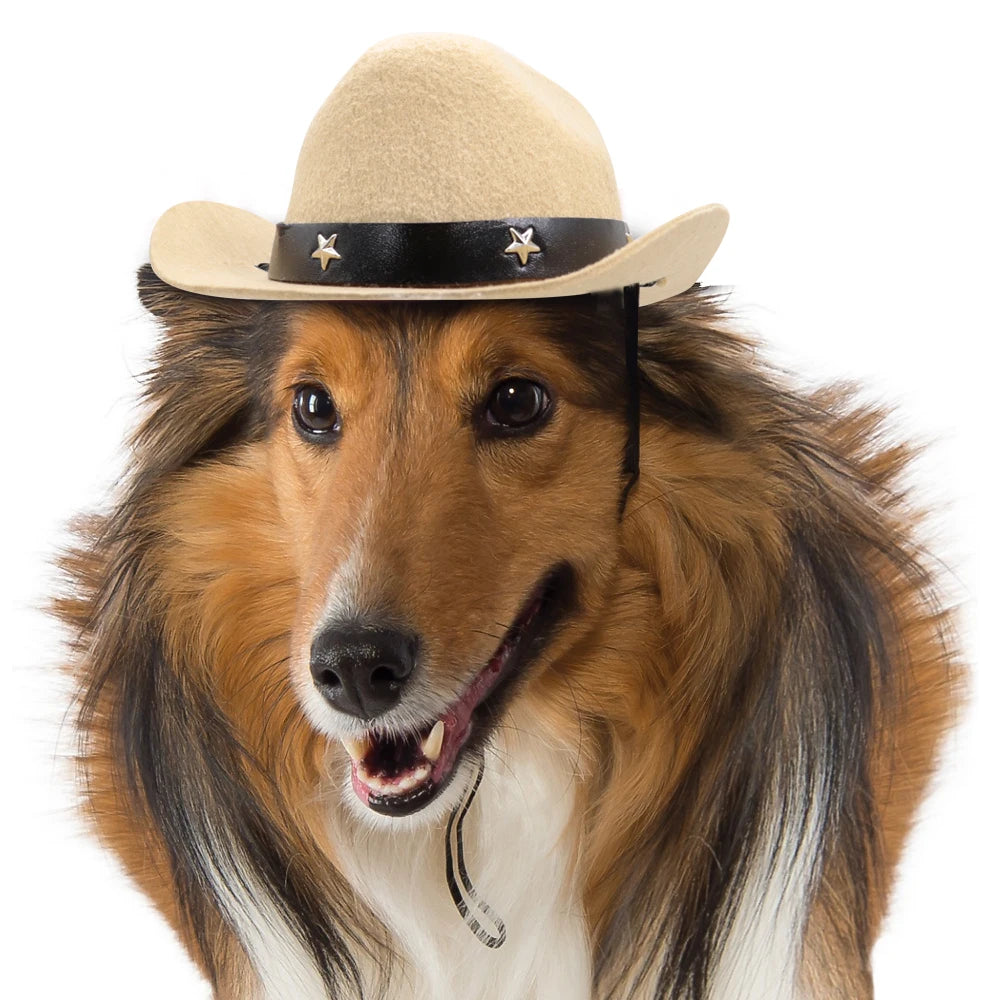 Fashion Dog Cowboy Hat Dogs Cat Outdoor Hats Caps for Small Medium Dogs Cats Headwear Pet Accessories Pitbull
