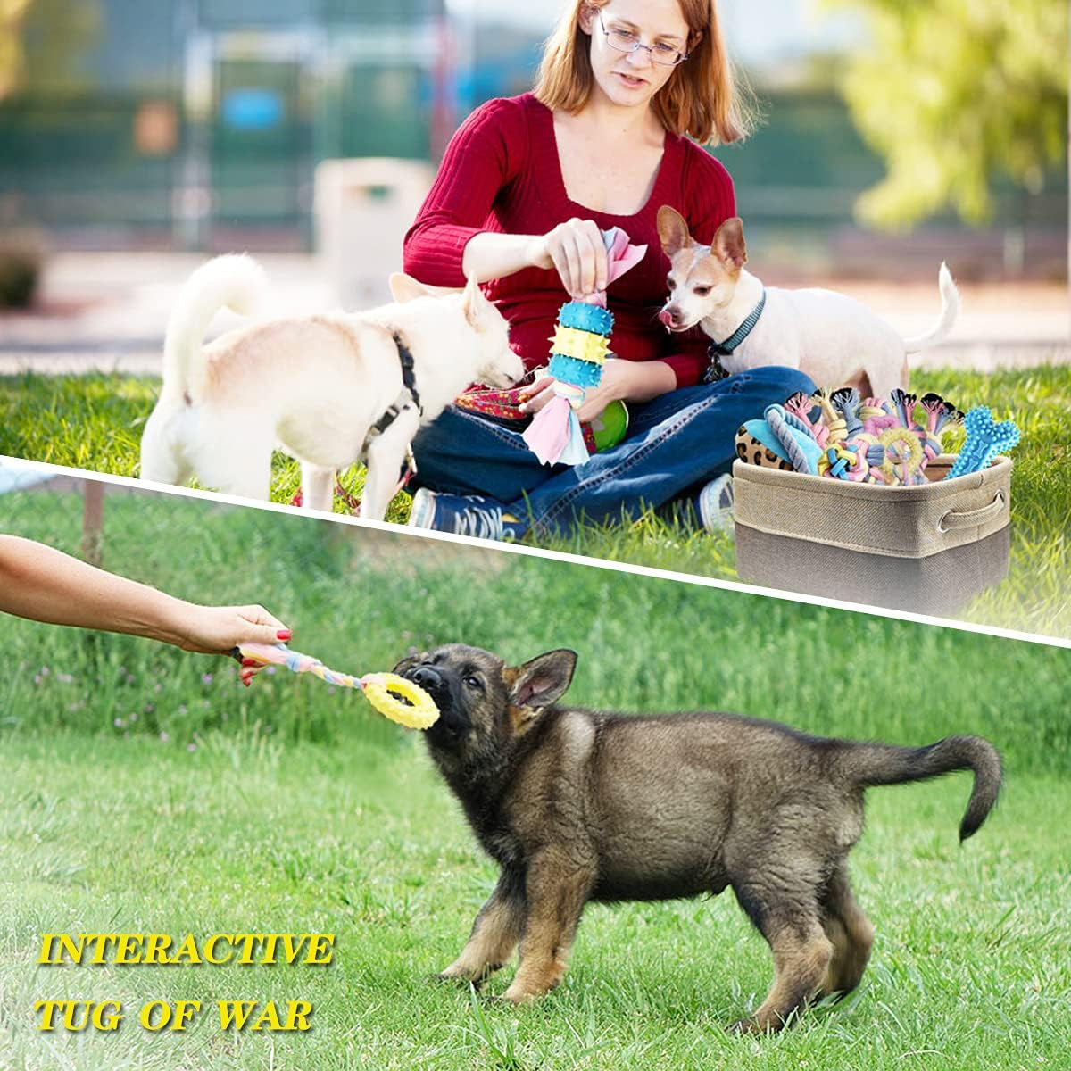 Puppy Toys Interactive Dog Toys Dog Chew Toy Puppy Teething Chew Toys Puppy Supplies Small Dog Toys Rope Balls Dental Teeth Cleaning Toothbrush Squeaky Puzzle Tug Pet Stuff and Toys Storage Basket