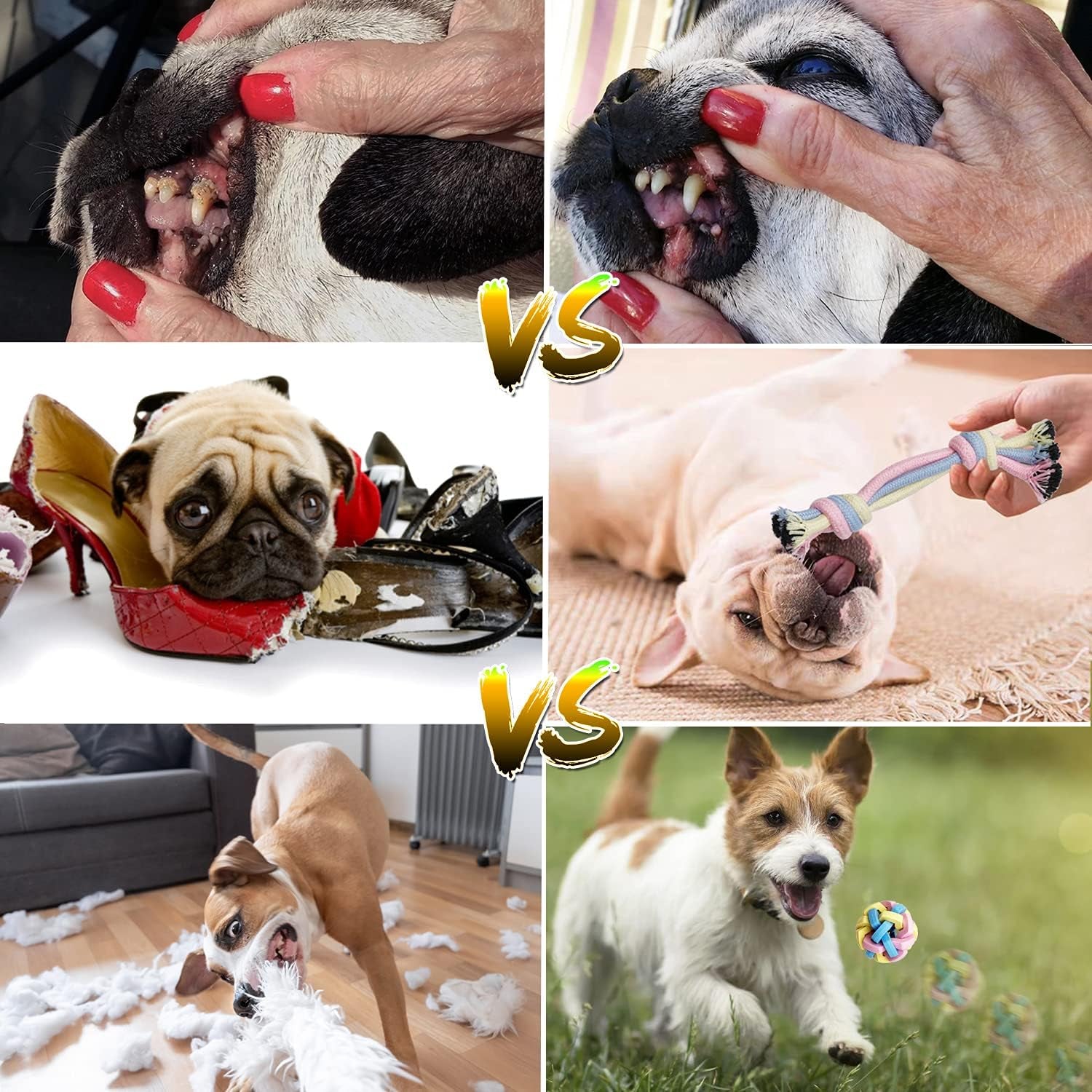 Puppy Toys Interactive Dog Toys Dog Chew Toy Puppy Teething Chew Toys Puppy Supplies Small Dog Toys Rope Balls Dental Teeth Cleaning Toothbrush Squeaky Puzzle Tug Pet Stuff and Toys Storage Basket
